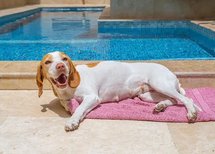 Holiday home Tal-andar