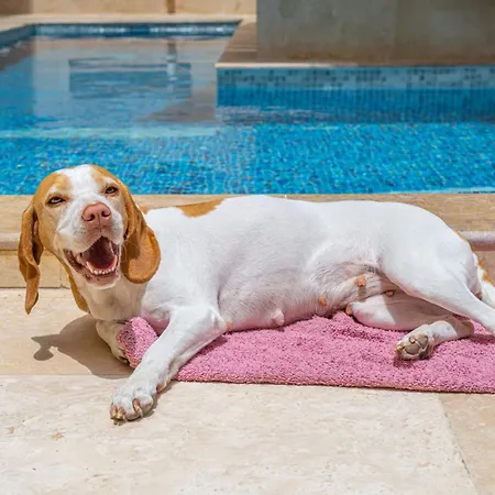 Casa vacanze Tal-andar